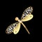 Women jewelry with large beautiful pearls is symbol of beauty and art. Pearls gold butterfly, dragonfly flying