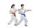 Women in karategi are training punch arm on a white background