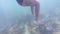 Women legs swim in turbid sea water in bikini and safety suit