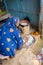 women making rice floor bread in traditional soil vessels at wood fire from different angle