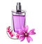 Women perfume in beautiful bottle and pink flowers