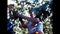women pick up grapes during grape harvest 70\'s