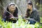 Women picking leaves