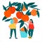 Women picking oranges vector illustration in abstract flat style. Harvesting concept. Agritourism concept
