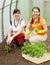 Women planting seedlings in greenhouse