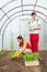 Women planting seedlings in greenhouse