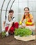 Women planting tomato spouts