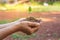 Women planting trees to create a living.