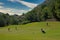 Women playing golf