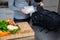 A women prepares lunch and puts a sandwich into a food-grade silicone bag as part of a zero-waste lifestyle