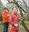 Women pruned branches in the orchard