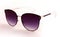 Women Purple with gold Sunglasses