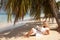 Women reading under palm tree