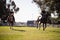 Women riding horse at equestrian center