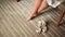 Women`s bare legs and shoes near them on the carpet. Wedding in