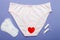 women's briefs with tampons and panty liners . hygiene and women's health care concept