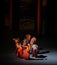 Women\'s desire-Modern Ballet:Trollius chinensis
