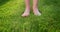 Women's feet barefoot in the gentle green grass