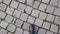 Women\\\'s feet walk along the paving stones in the park, first-person view