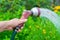 Women`s hand with a sprinkler watering a yellow flowers in the garden