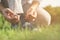 Women`s hand tied rope sports shoes on a green grass In the public park in the morning