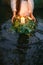 Women& x27;s hands close-up hold herbal ritual spiritual wreath, lay put float on water. Bright vintage burning candle