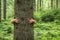 Women`s hands hugging a tree. Love of nature.