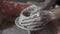 Women`s hands make ceramic bowl from clay, work in a pottery workshop