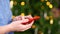 Women`s hands with a smartphone in hands on the background of a Christmas tree.