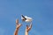 Women`s hands throw white and blue children`s airplane. Blue sky background