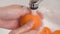 Women`s hands wash fruit oranges or tangerines in the sink or washbasin close-up. Washing citrus fruits