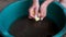 Women`s hands wash small young potatoes from dirt.