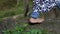 Women\\\'s legs walking on the Large Roots of a Tree