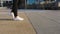 Women`s legs in white shoes are walking along a clean, empty walkway.