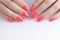 Women`s manicure, on a white background. Nail Polish red coral color.