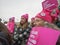 Women`s March, Saint Paul, Minnesota, USA