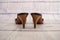 Women`s sandals on a wooden background. Fashionable summer sandals. Back view. Heels close-up.