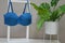 Women\\\'s swimsuit. A bright blue turquoise bra on a stand next to a green indoor flower. Beachwear