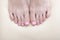 Women`s toes close-up. Pink pedicure. White background