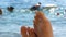 Women`s toes and feet against the background of the sea, the rays of the sun on the waves, beach vacation, summer resort