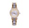 Women`s Wristwatches on a white background