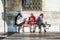 Women sit at a bench and read newspaper and books