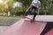 Women skateboarder sakteboarding on skatepark ramp