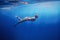 Women Snorkeling in the Tropical Sea, Underwater Women