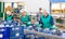 Women sorting fresh red cabbage in vegetable factory