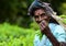 Women tea garden workers pluck tea leaves