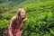 Women tourist at a tea plantation. Natural selected, Fresh tea l