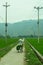 Women in traditional Vietnamese hat on the bicycle in green rice field