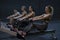 Women training rowing in gym with exercises machines and pull rope