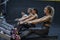 Women training rowing in gym with exercises machines and pull rope